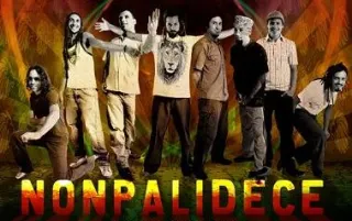 Nonpalidece